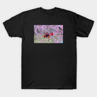 Bull / Swiss Artwork Photography T-Shirt